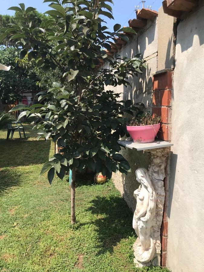 Mirella'S House Viaverona อาร์เดีย ภายนอก รูปภาพ